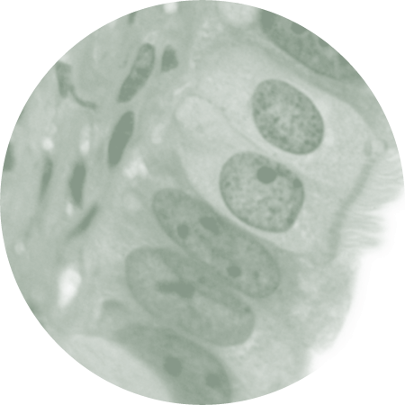 header image with person and cell structures